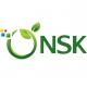 Logo of NSK COMPUTERS INC., USA