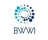 Logo of BLUETOOTH WORLDWIDE INC., USA